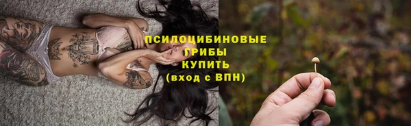 apvp Белокуриха