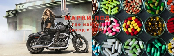 СК Беломорск