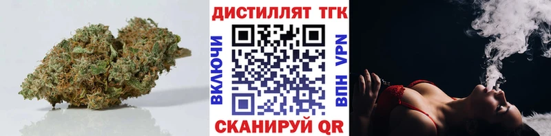 MEGA зеркало  Короча  ТГК Wax 